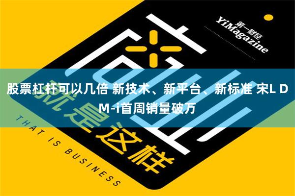 股票杠杆可以几倍 新技术、新平台、新标准 宋L DM-i首周销量破万