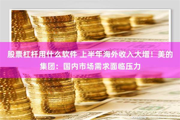 股票杠杆用什么软件 上半年海外收入大增！美的集团：国内市场需求面临压力