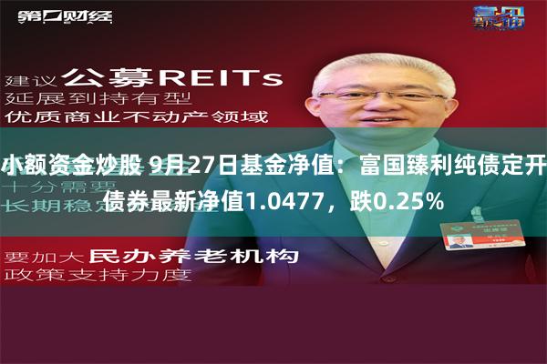 小额资金炒股 9月27日基金净值：富国臻利纯债定开债券最新净值1.0477，跌0.25%