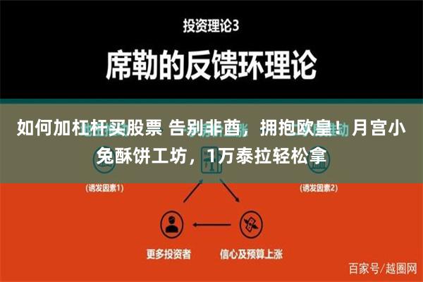 如何加杠杆买股票 告别非酋，拥抱欧皇！月宫小兔酥饼工坊，1万泰拉轻松拿