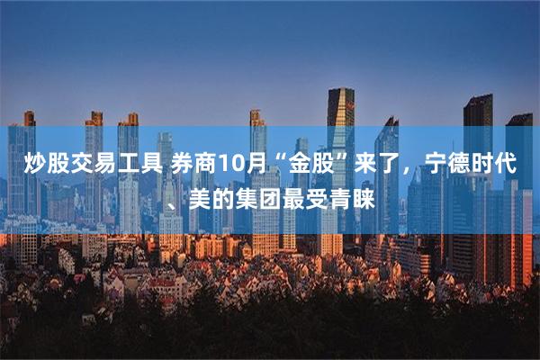 炒股交易工具 券商10月“金股”来了，宁德时代、美的集团最受青睐