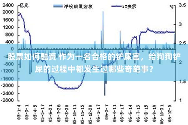 股票如何融资 作为一名合格的铲屎官，给狗狗铲屎的过程中都发生过哪些奇葩事？