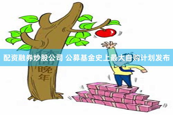 配资融券炒股公司 公募基金史上最大自购计划发布