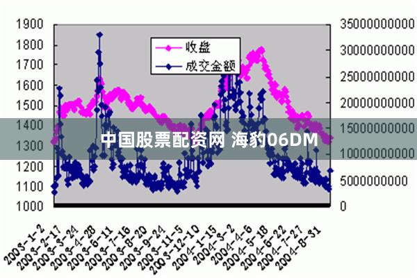 中国股票配资网 海豹06DM