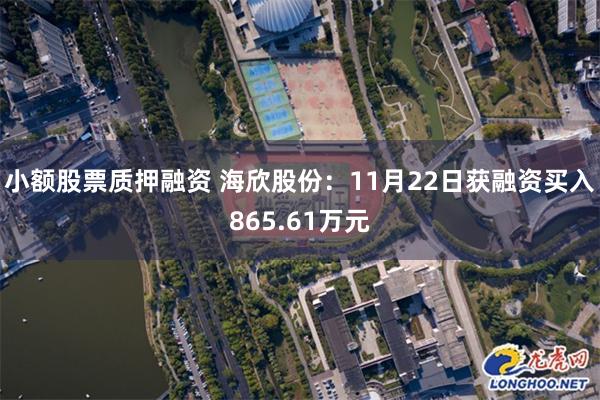 小额股票质押融资 海欣股份：11月22日获融资买入865.61万元