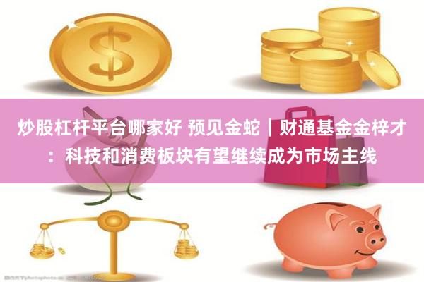 炒股杠杆平台哪家好 预见金蛇｜财通基金金梓才：科技和消费板块有望继续成为市场主线