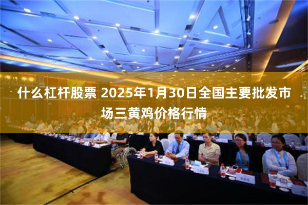 什么杠杆股票 2025年1月30日全国主要批发市场三黄鸡价格行情